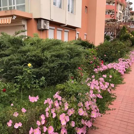 Vista * Светий Влас